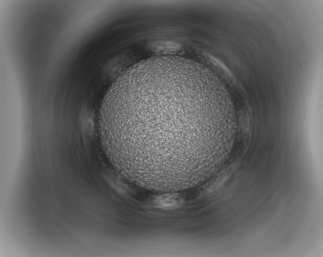 X0000116100761200911301102