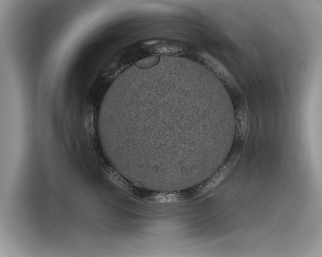 X0000116100762200911301102