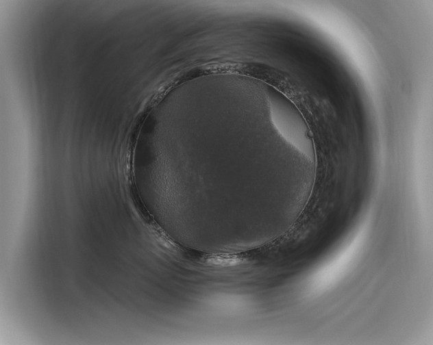 X0000116100767200911301102