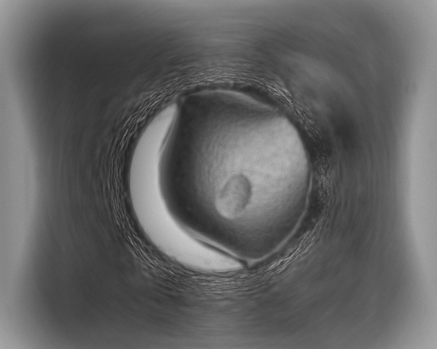 X0000116100769200911301102