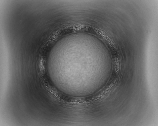 X0000116100770200911301102