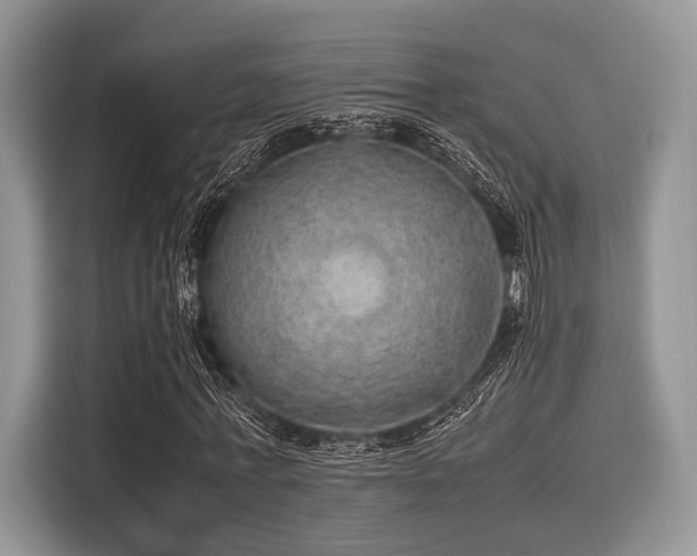 X0000116100771200911301102