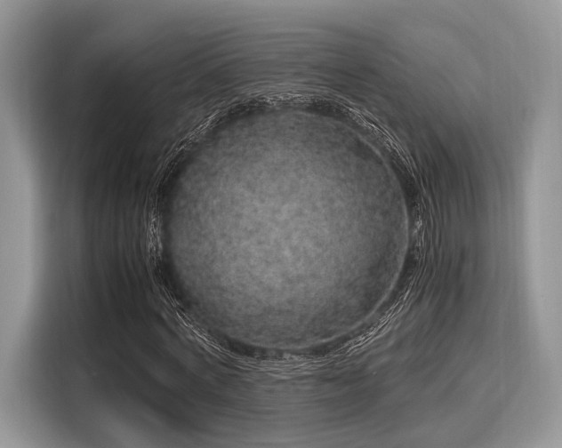 X0000116100772200911301102