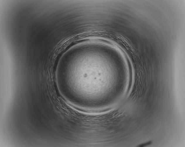 X0000116100773200911301102