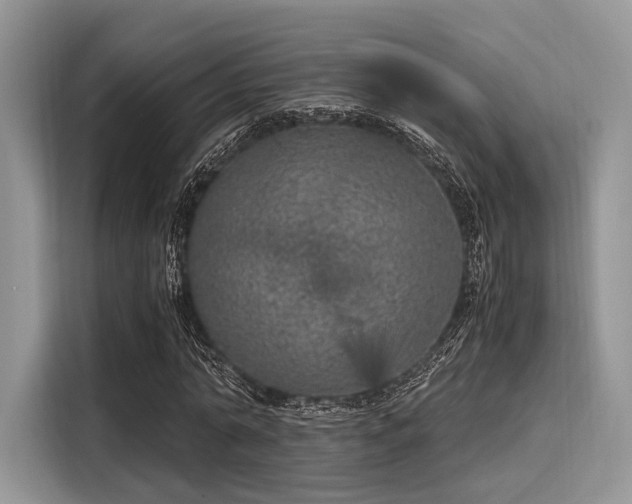 X0000116100774200911301102