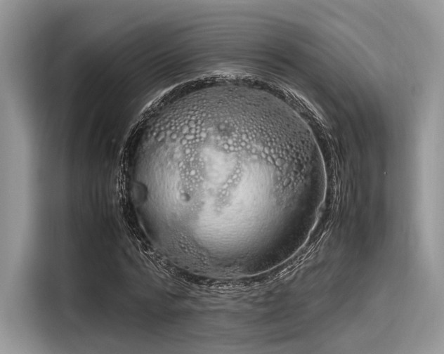 X0000116100776200911301102