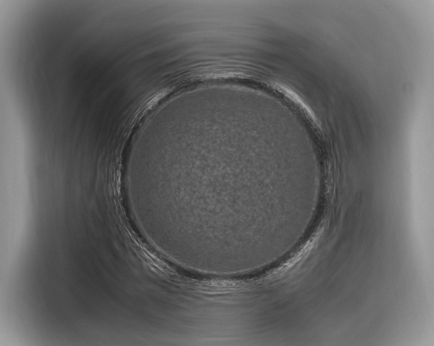 X0000116100777200911301102