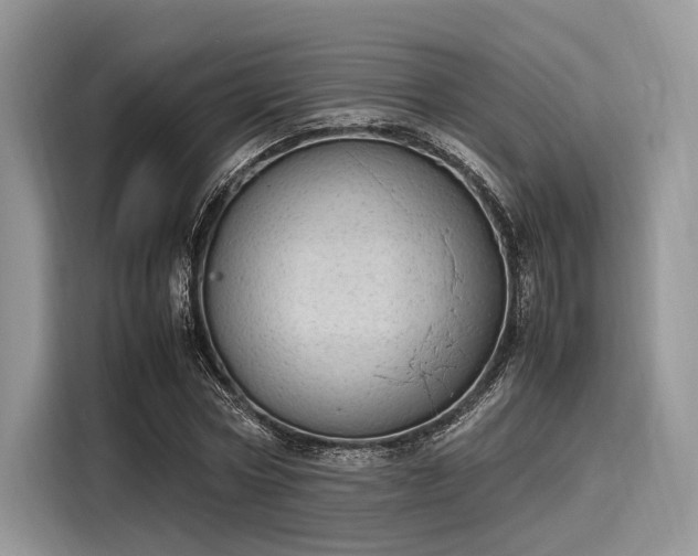 X0000116100778200911301102