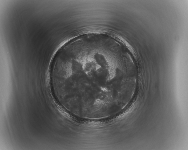 X0000116100779200911301102