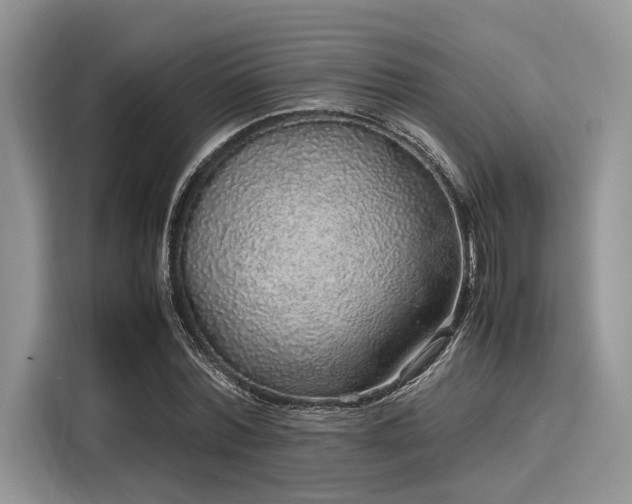 X0000116100780200911301102