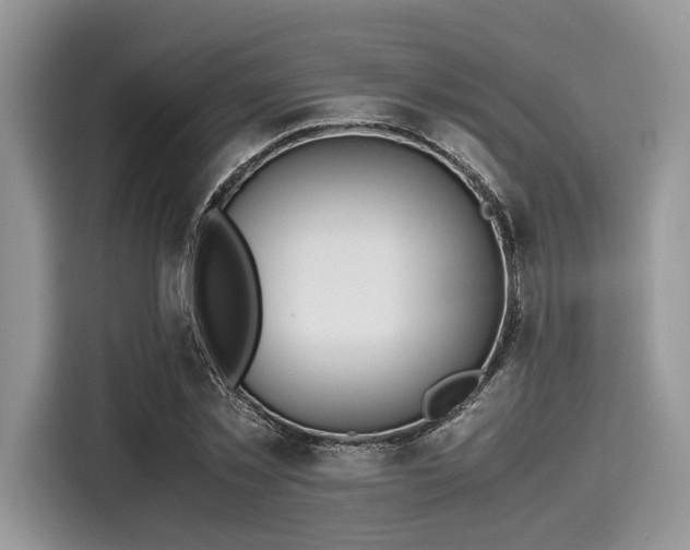 X0000116100781200911301102