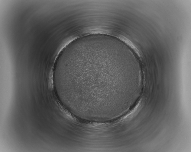 X0000116100782200911301102