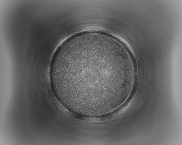 X0000116100783200911301102