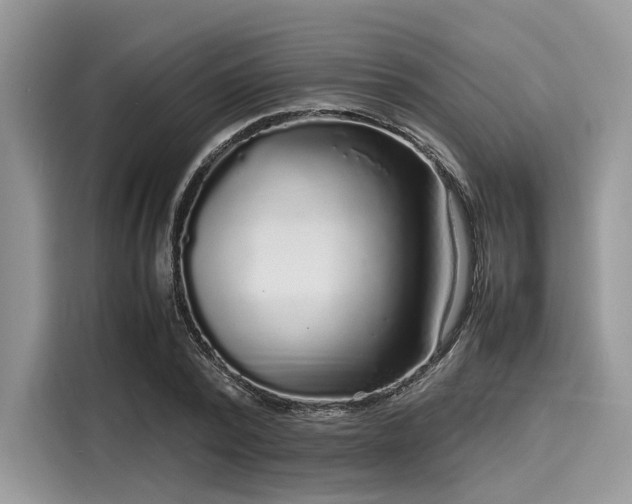 X0000116100784200911301102