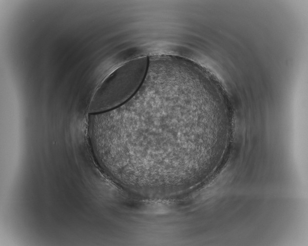 X0000116100785200911301102