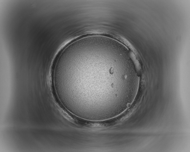 X0000116100787200911301102