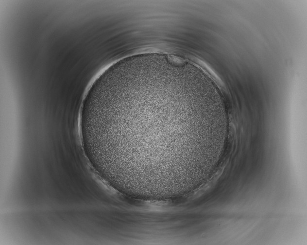 X0000116100788200911301102