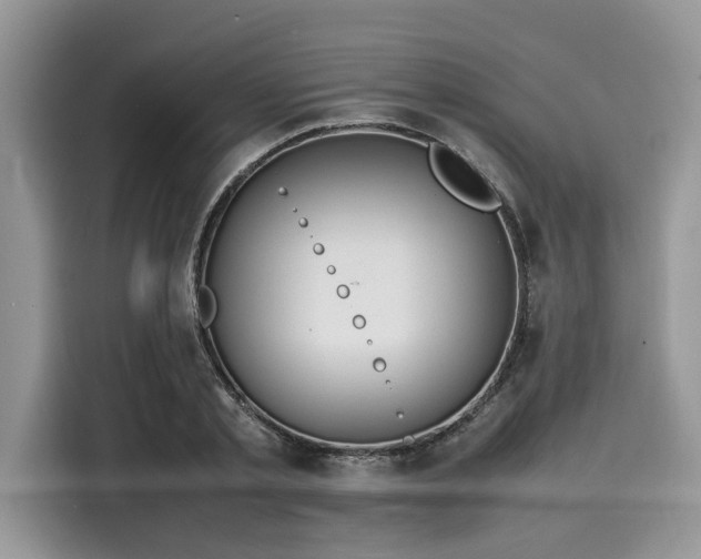 X0000116100789200911301102