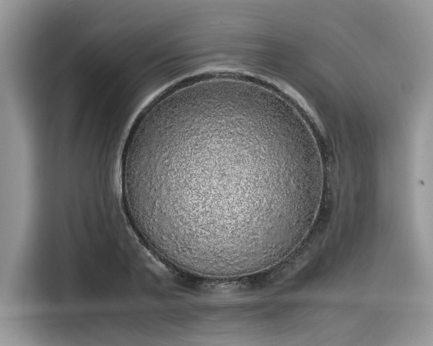 X0000116100791200911301102