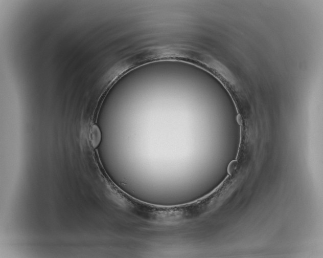 X0000116100793200911301102