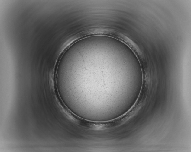 X0000116100794200911301102