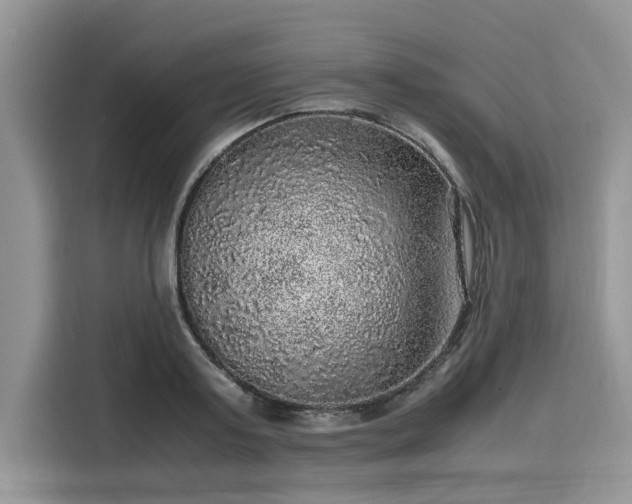 X0000116100795200911301102