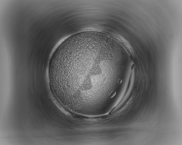 X0000116100796200911301102