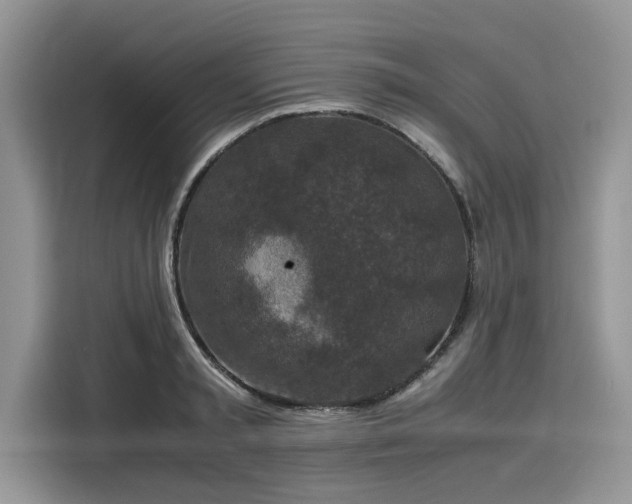 X0000116100797200911301102