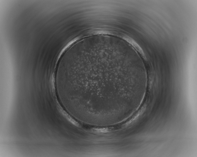 X0000116100798200911301101