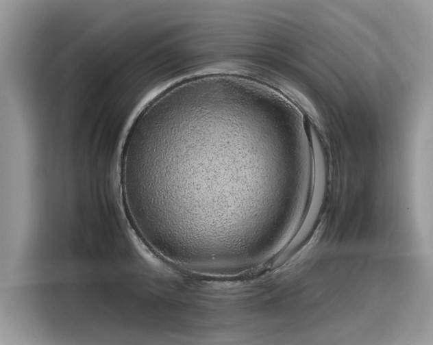 X0000116100800200911301101