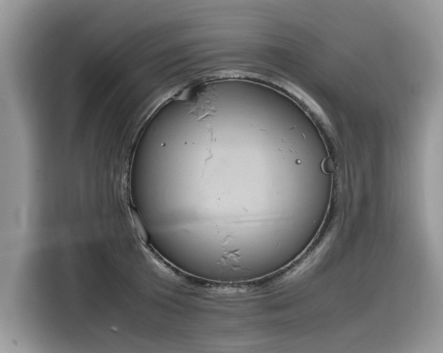 X0000116100801200911301101