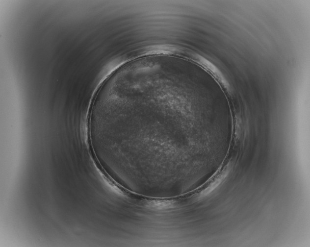 X0000116100802200911301101