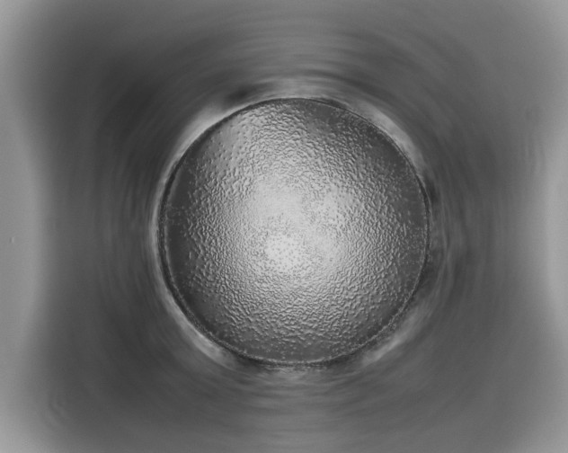 X0000116100803200911301101