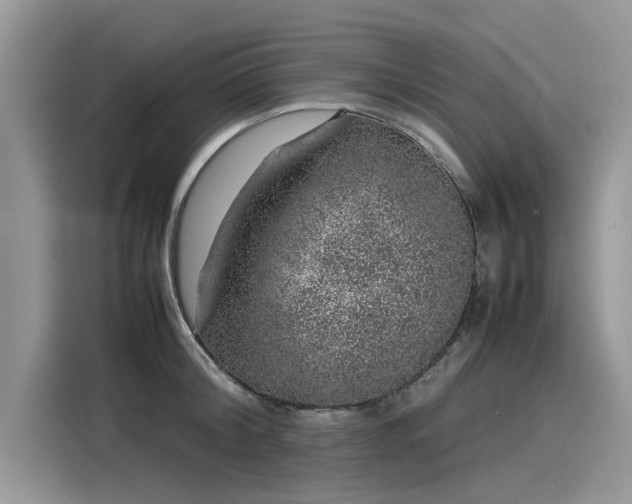 X0000116100804200911301101