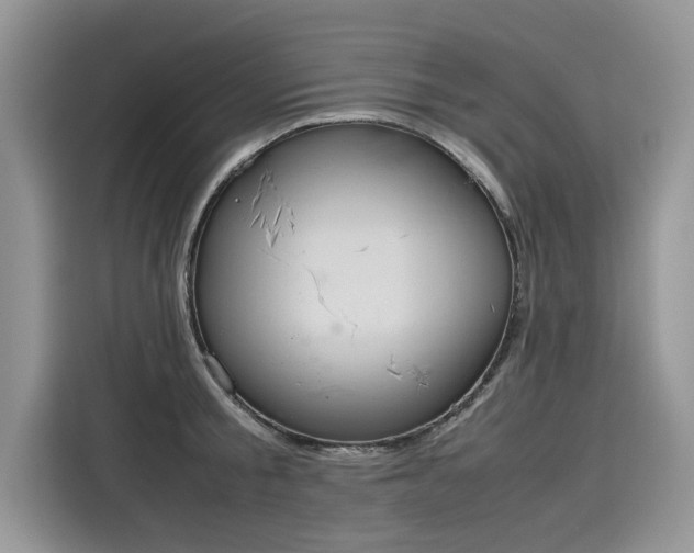 X0000116100805200911301101