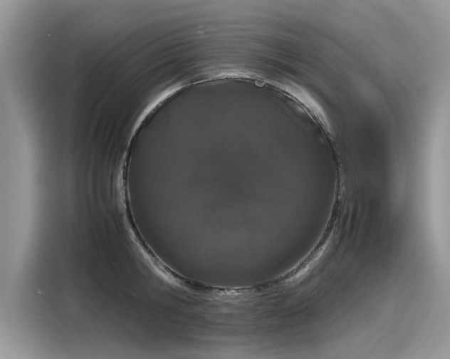 X0000116100806200911301101