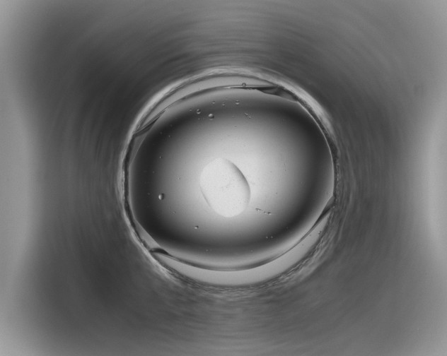 X0000116100807200911301101