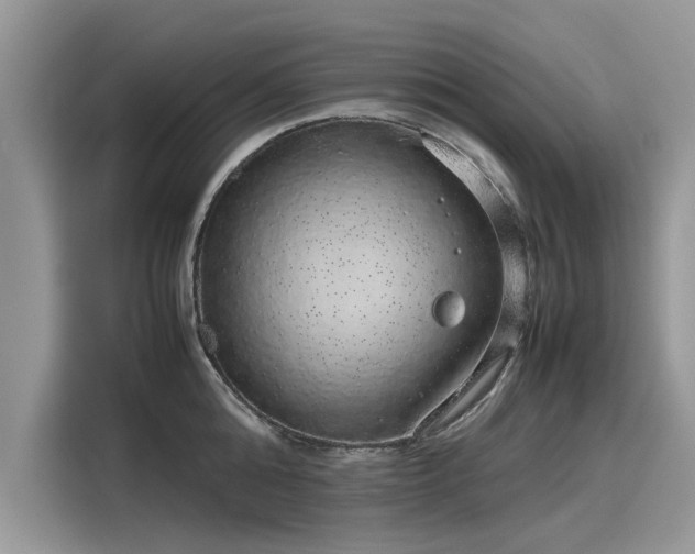 X0000116100808200911301101