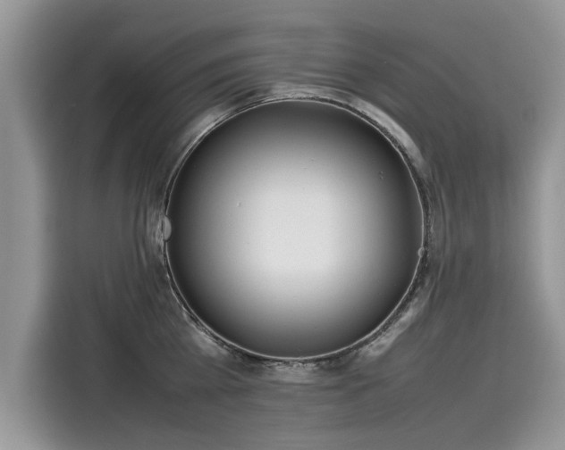 X0000116100809200911301101