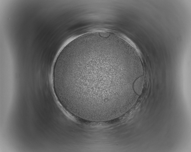 X0000116100811200911301101