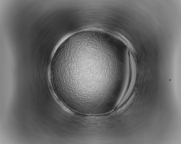 X0000116100812200911301101