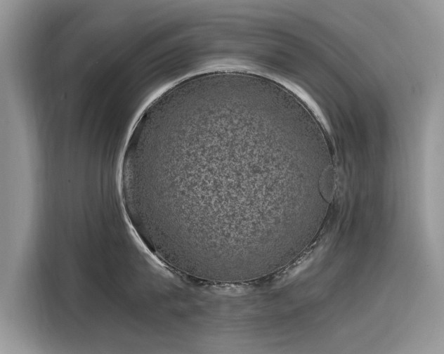 X0000116100815200911301101