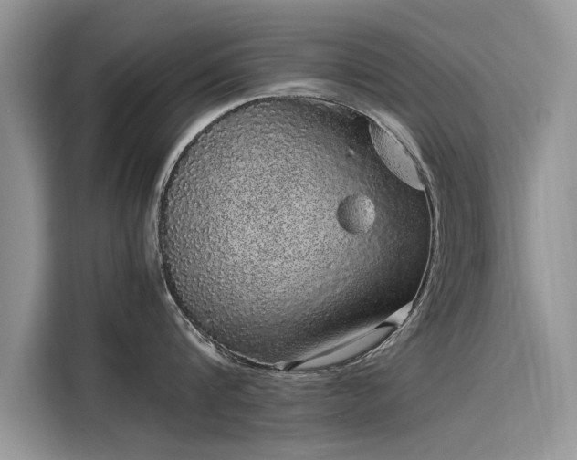 X0000116100816200911301101