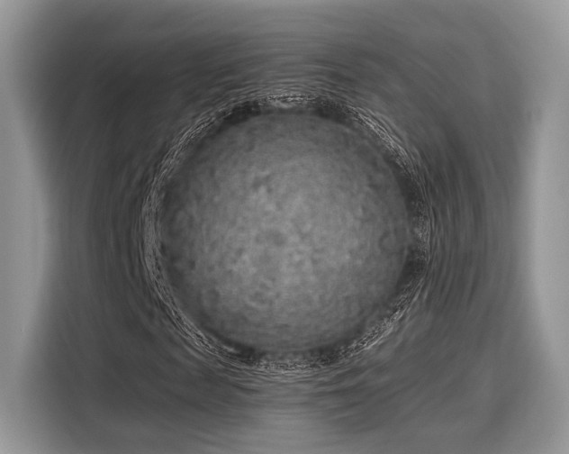 X0000116100817200911301101