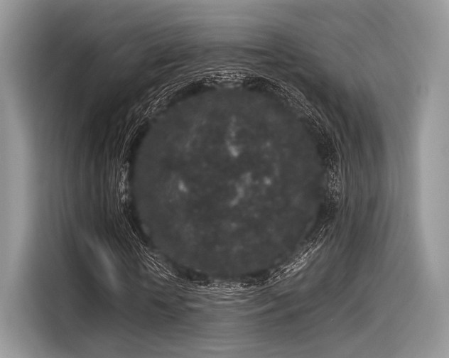 X0000116100818200911301101