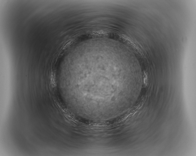 X0000116100819200911301101