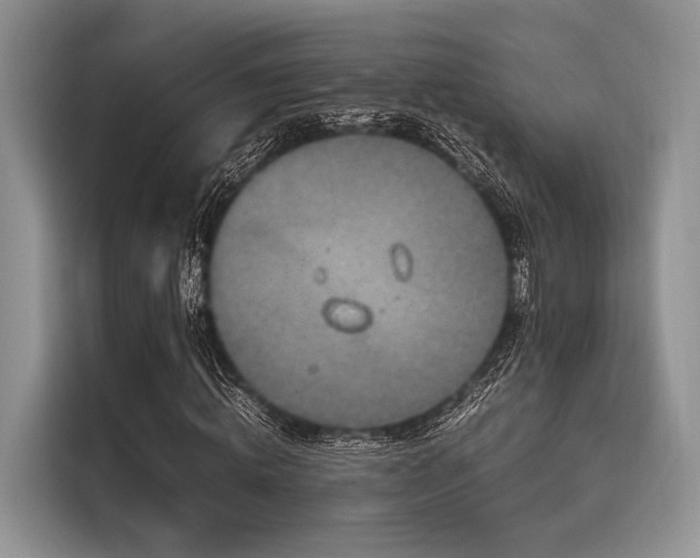 X0000116100820200911301101