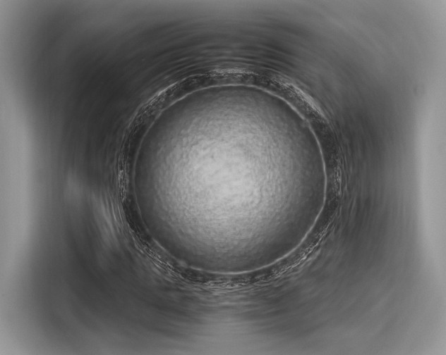 X0000116100821200911301101