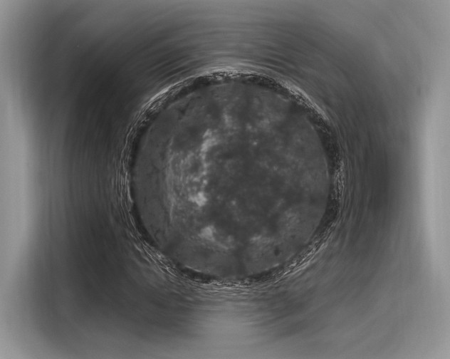 X0000116100822200911301101