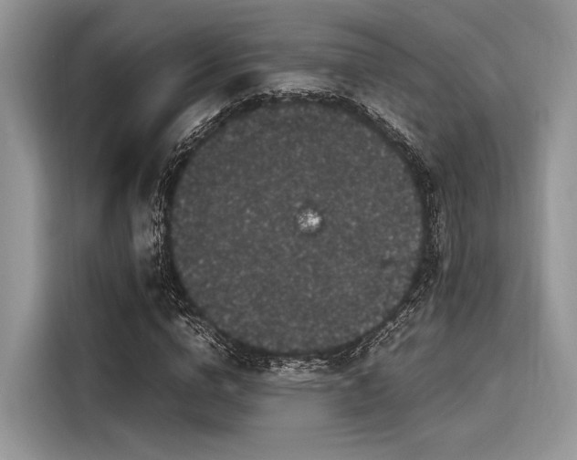 X0000116100824200911301101